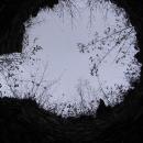 0016