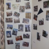 P1150199.JPG