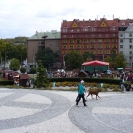 P1050140.JPG