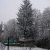 P1020795.JPG
