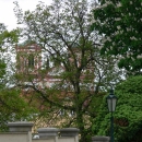 P1270886