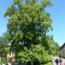 P1200102