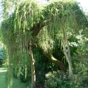 P1200250