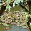 P1200273
