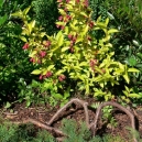 P1200298