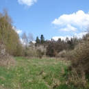 DSC02345