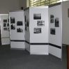 P1100991.JPG